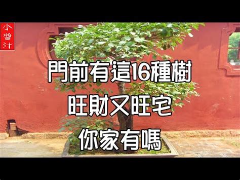 楓樹 風水|紅楓樹風水作用全解析